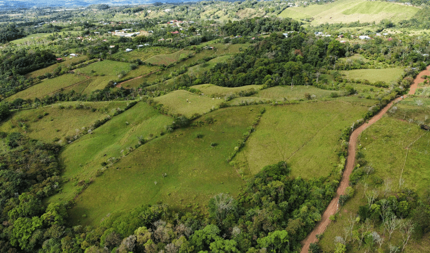 Cajón, ,Land,For Sale,1242