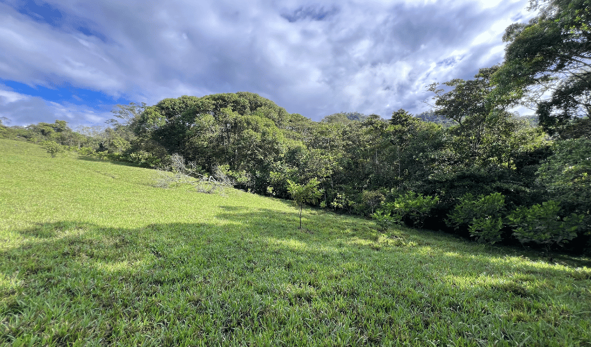 Cajón, ,Land,For Sale,1242