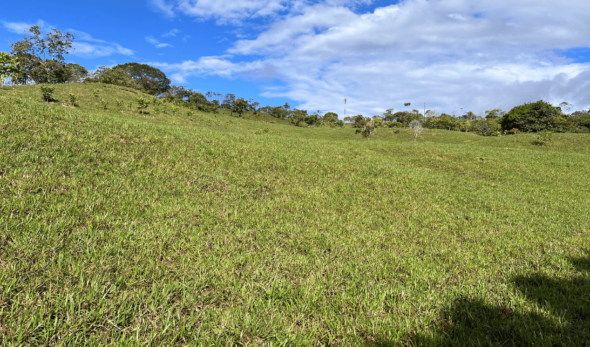 Cajón, ,Land,For Sale,1242