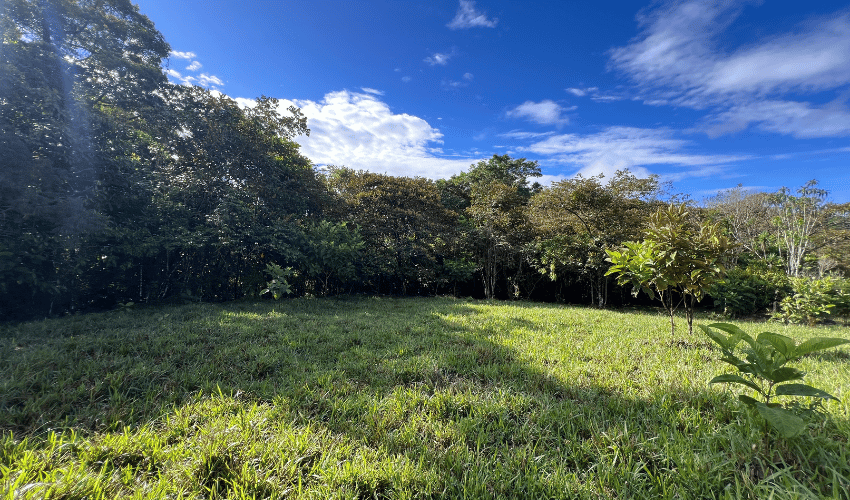 Cajón, ,Land,For Sale,1242