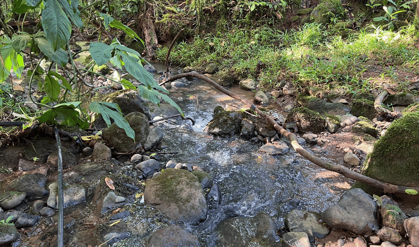 Cajón, ,Land,For Sale,1242