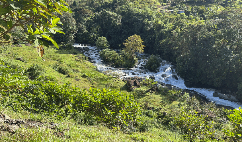 Cajón, ,Land,For Sale,1242