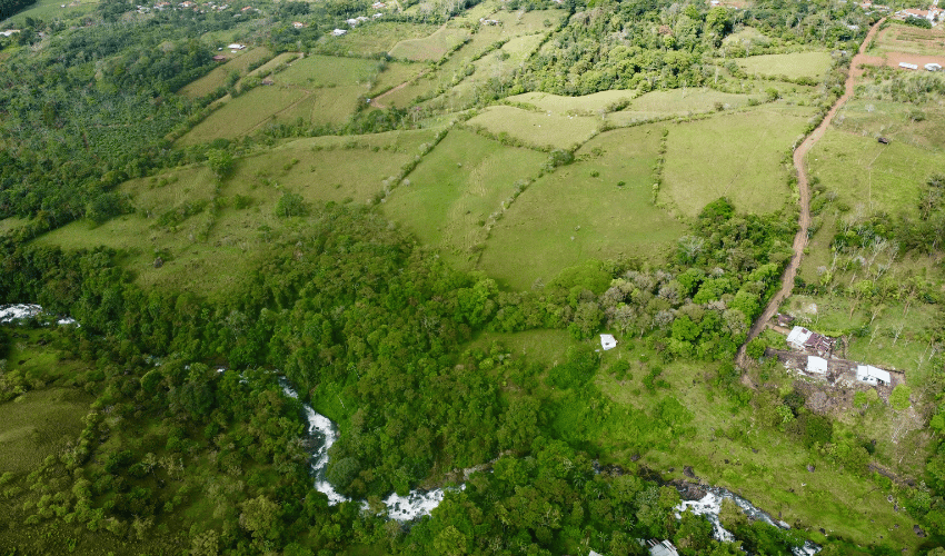 Cajón, ,Land,For Sale,1242