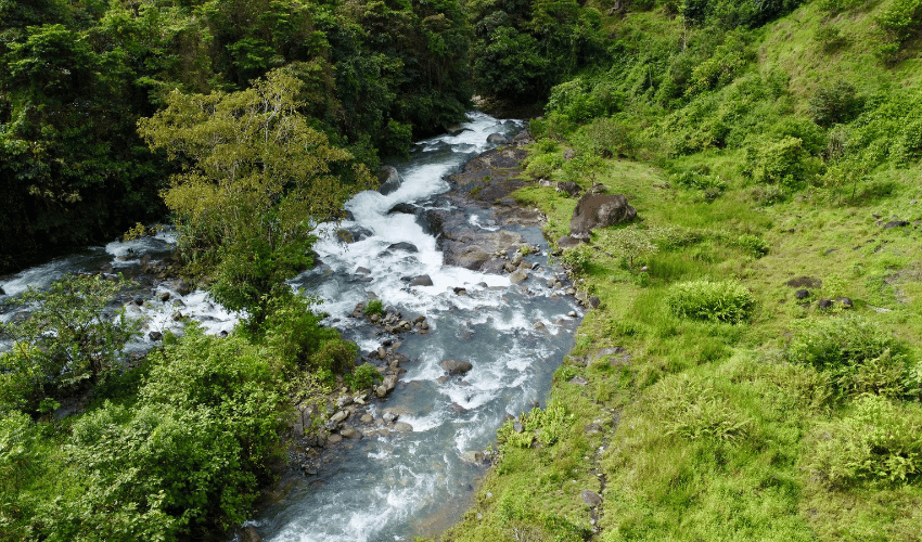 Cajón, ,Land,For Sale,1242