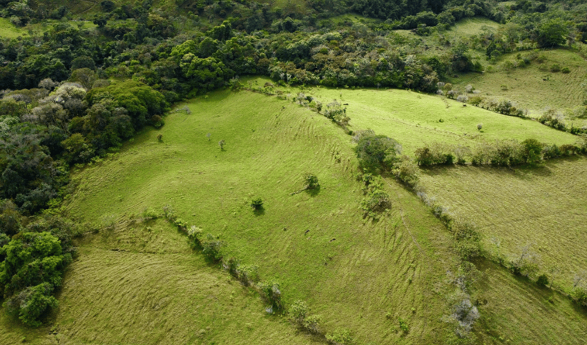 Cajón, ,Land,For Sale,1242