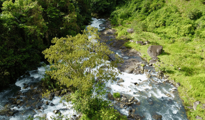 Cajón, ,Land,For Sale,1242