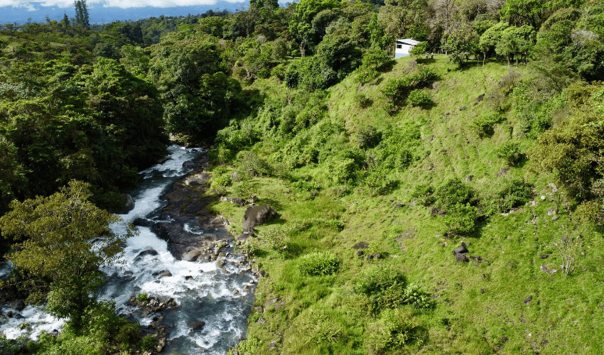 Cajón, ,Land,For Sale,1242