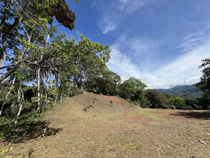 Quebradas, Perez Zeledon, 11901, ,Land,For Sale,Quebradas,1259