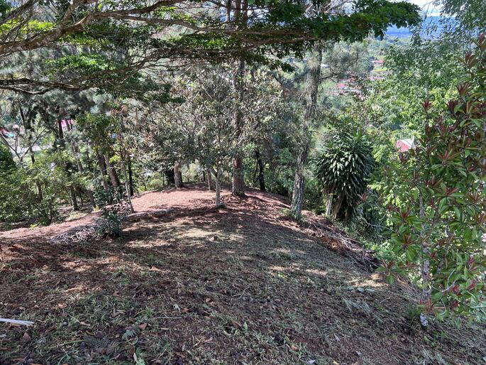 Quebradas, Perez Zeledon, 11901, ,Land,For Sale,Quebradas,1259