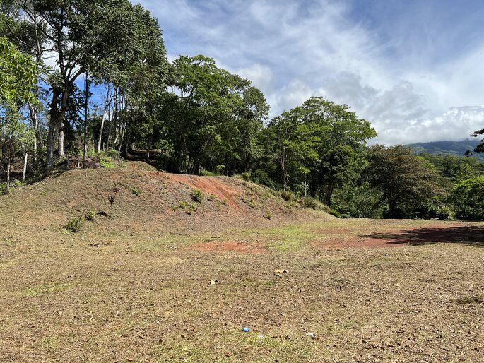 Quebradas, Perez Zeledon, 11901, ,Land,For Sale,Quebradas,1259