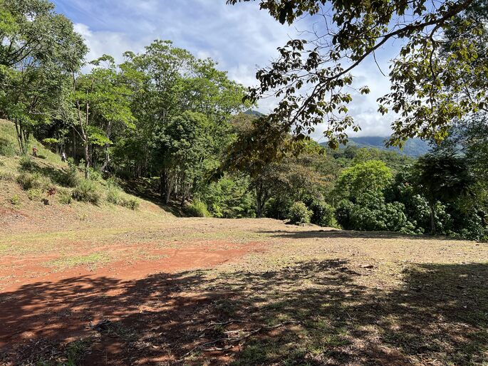 Quebradas, Perez Zeledon, 11901, ,Land,For Sale,Quebradas,1259