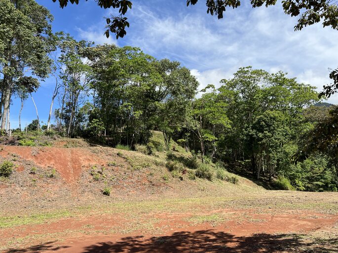 Quebradas, Perez Zeledon, 11901, ,Land,For Sale,Quebradas,1259