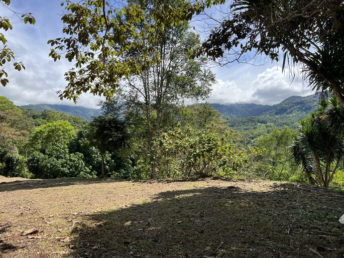 Quebradas, Perez Zeledon, 11901, ,Land,For Sale,Quebradas,1259