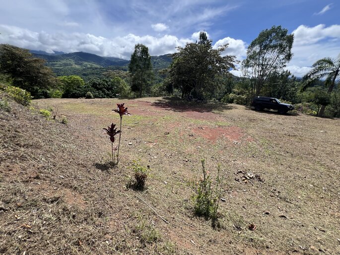 Quebradas, Perez Zeledon, 11901, ,Land,For Sale,Quebradas,1259