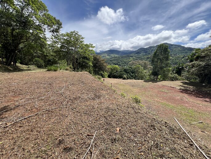 Quebradas, Perez Zeledon, 11901, ,Land,For Sale,Quebradas,1259