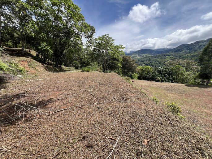 Quebradas, Perez Zeledon, 11901, ,Land,For Sale,Quebradas,1259