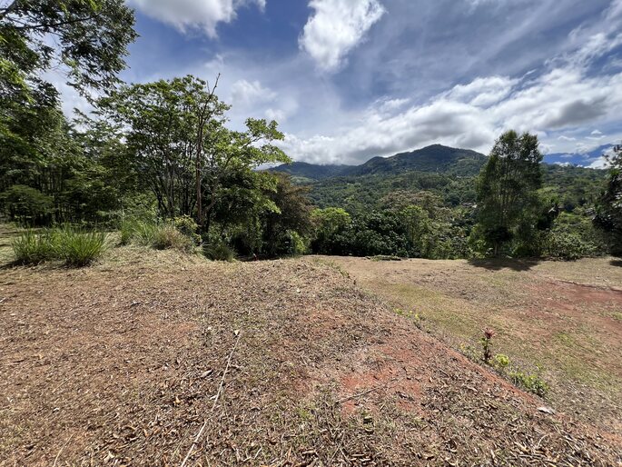 Quebradas, Perez Zeledon, 11901, ,Land,For Sale,Quebradas,1259