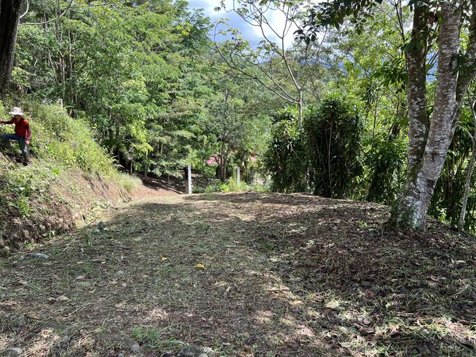 Quebradas, Perez Zeledon, 11901, ,Land,For Sale,Quebradas,1259