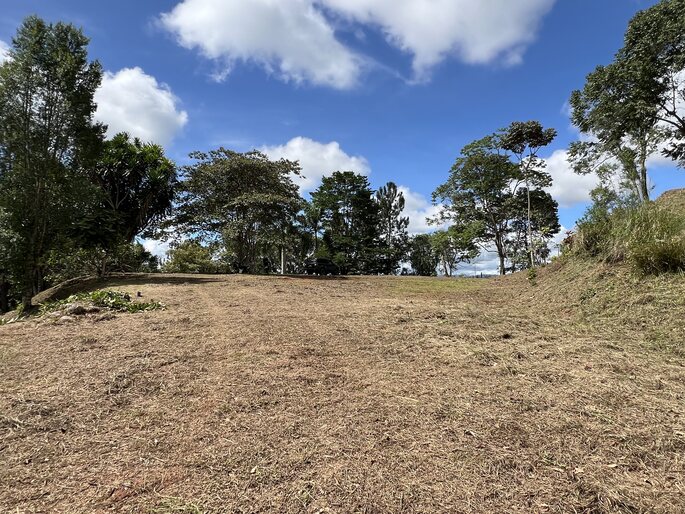 Quebradas, Perez Zeledon, 11901, ,Land,For Sale,Quebradas,1259