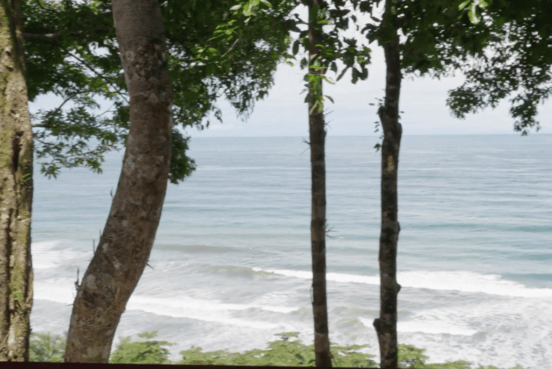 Playa Hermosa, Osa, 60504, ,House w/ Land,For Sale,Playa Hermosa,1260