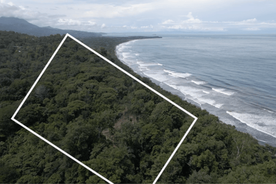 Playa Hermosa, Osa, 60504, ,House w/ Land,For Sale,Playa Hermosa,1260