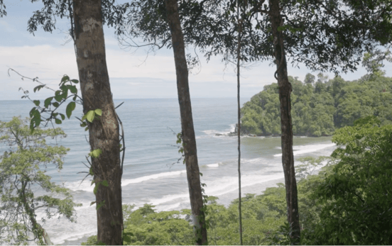 Playa Hermosa, Osa, 60504, ,House w/ Land,For Sale,Playa Hermosa,1260