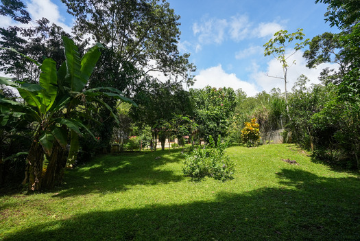 El Roble de La Palma, Perez Zeledon, 11901, ,House,For Sale,El Roble de La Palma,1262