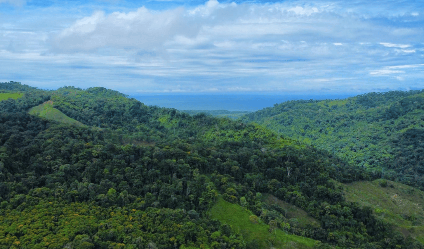 Hatillo, Savegre de Aguirre, 60602, ,Land,For Sale,Hatillo,1072