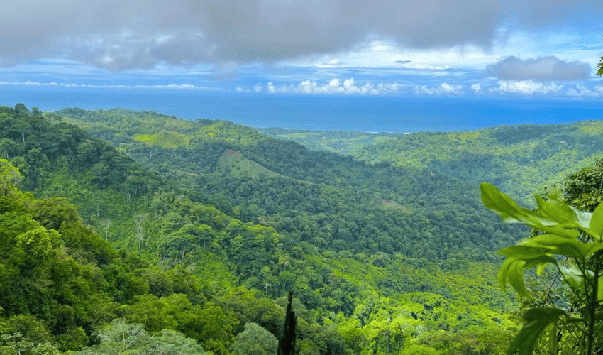 Hatillo, Savegre de Aguirre, 60602, ,Land,For Sale,Hatillo,1072