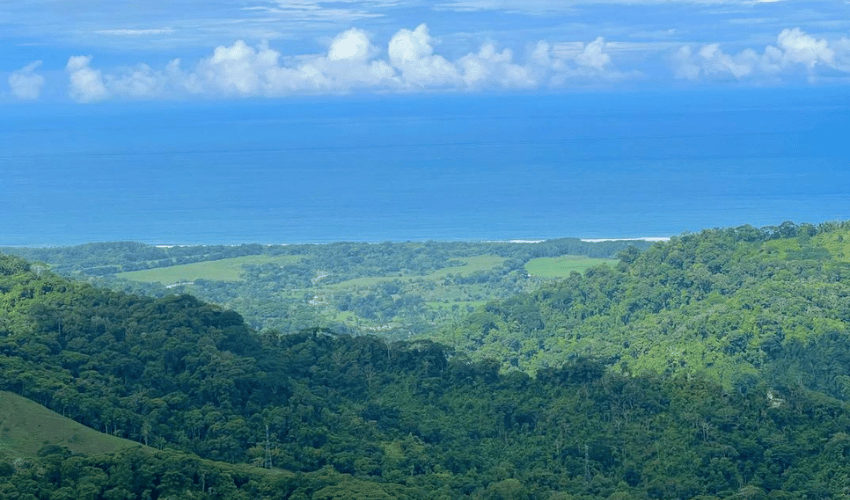 Hatillo, Savegre de Aguirre, 60602, ,Land,For Sale,Hatillo,1072