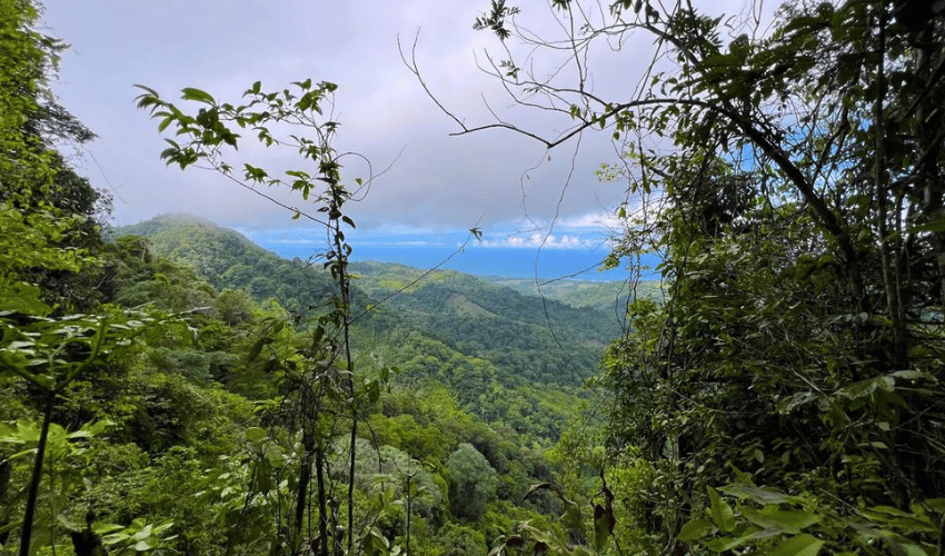 Hatillo, Savegre de Aguirre, 60602, ,Land,For Sale,Hatillo,1072