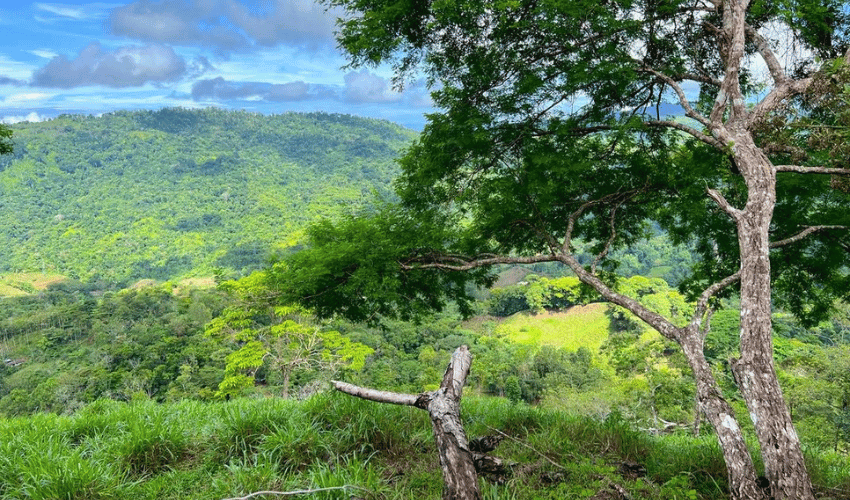 Hatillo, Savegre de Aguirre, 60602, ,Land,For Sale,Hatillo,1072