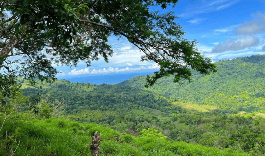 Hatillo, Savegre de Aguirre, 60602, ,Land,For Sale,Hatillo,1072