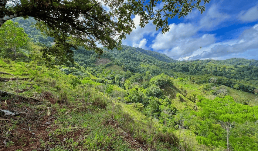 Hatillo, Savegre de Aguirre, 60602, ,Land,For Sale,Hatillo,1072