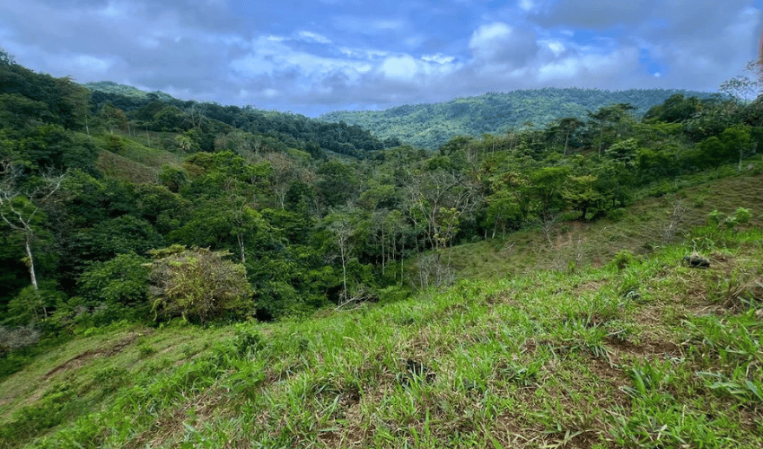 Hatillo, Savegre de Aguirre, 60602, ,Land,For Sale,Hatillo,1072