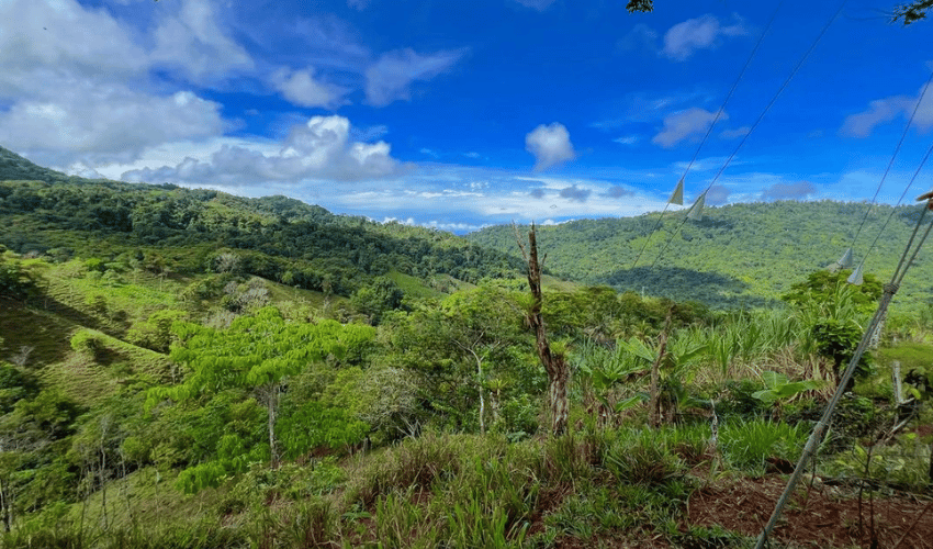 Hatillo, Savegre de Aguirre, 60602, ,Land,For Sale,Hatillo,1072