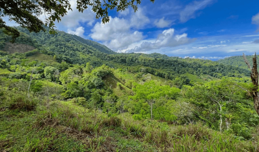 Hatillo, Savegre de Aguirre, 60602, ,Land,For Sale,Hatillo,1072