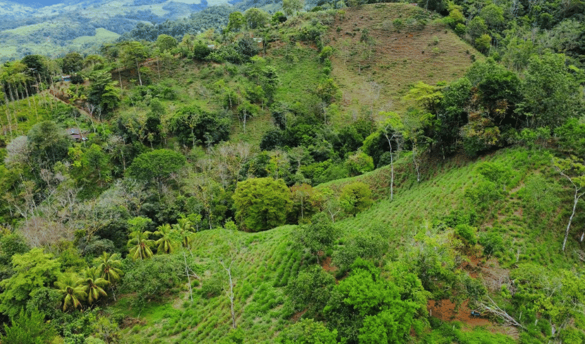 Hatillo, Savegre de Aguirre, 60602, ,Land,For Sale,Hatillo,1072