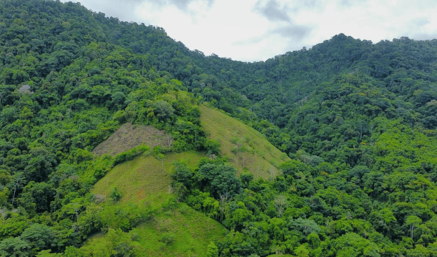 Hatillo, Savegre de Aguirre, 60602, ,Land,For Sale,Hatillo,1072