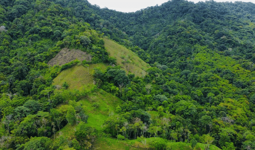 Hatillo, Savegre de Aguirre, 60602, ,Land,For Sale,Hatillo,1072