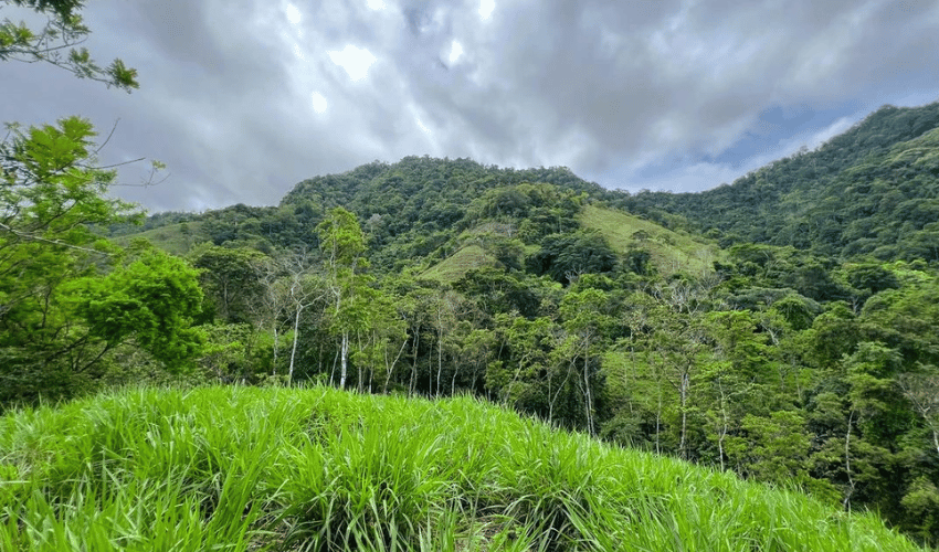 Hatillo, Savegre de Aguirre, 60602, ,Land,For Sale,Hatillo,1072