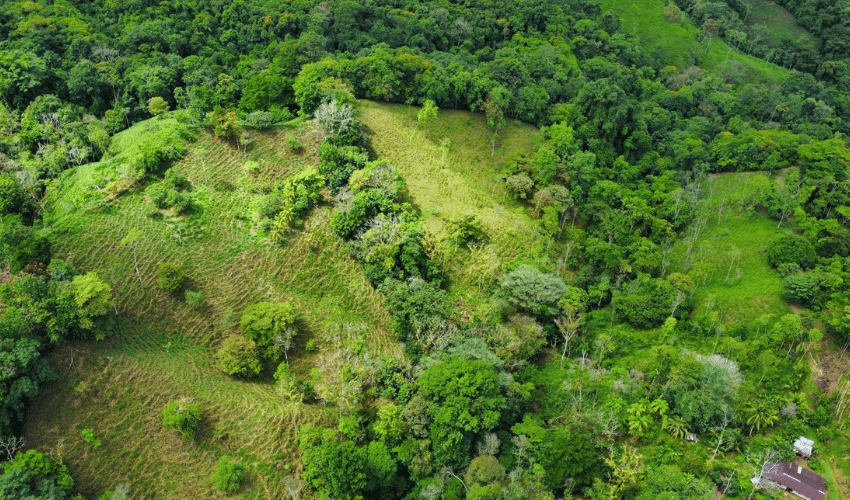 Hatillo, Savegre de Aguirre, 60602, ,Land,For Sale,Hatillo,1072