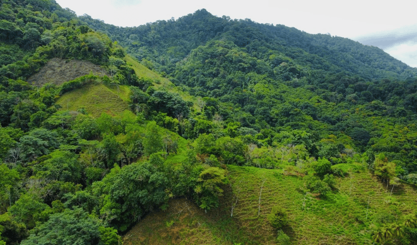 Hatillo, Savegre de Aguirre, 60602, ,Land,For Sale,Hatillo,1072