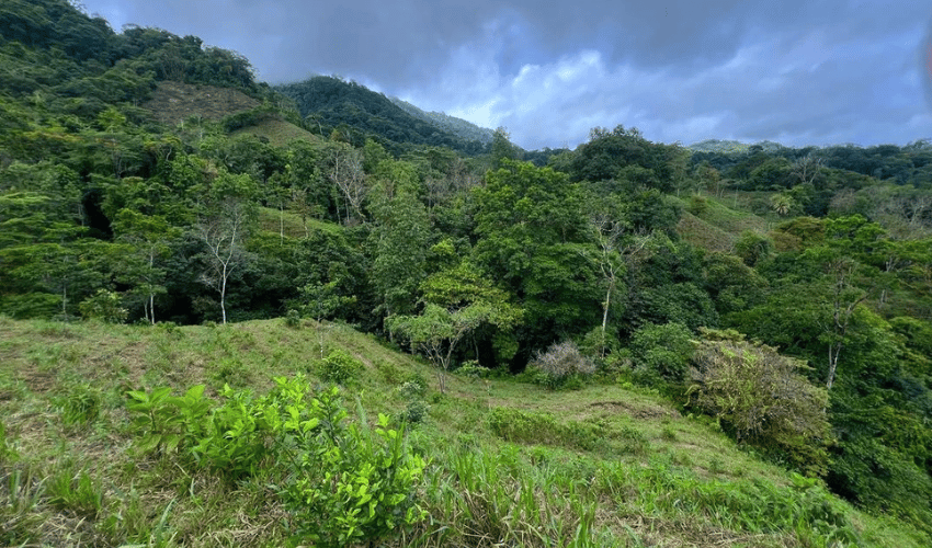 Hatillo, Savegre de Aguirre, 60602, ,Land,For Sale,Hatillo,1072