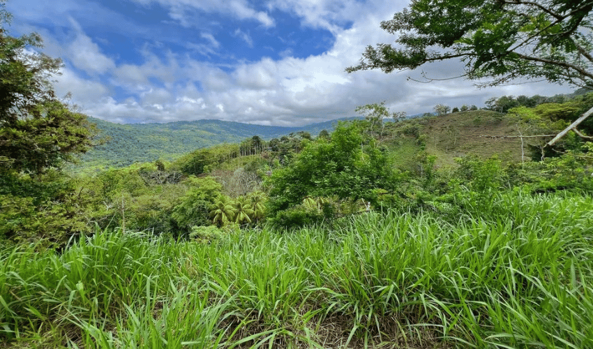 Hatillo, Savegre de Aguirre, 60602, ,Land,For Sale,Hatillo,1072