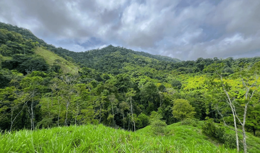 Hatillo, Savegre de Aguirre, 60602, ,Land,For Sale,Hatillo,1072