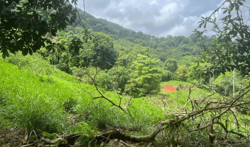 Hatillo, Savegre de Aguirre, 60602, ,Land,For Sale,Hatillo,1072