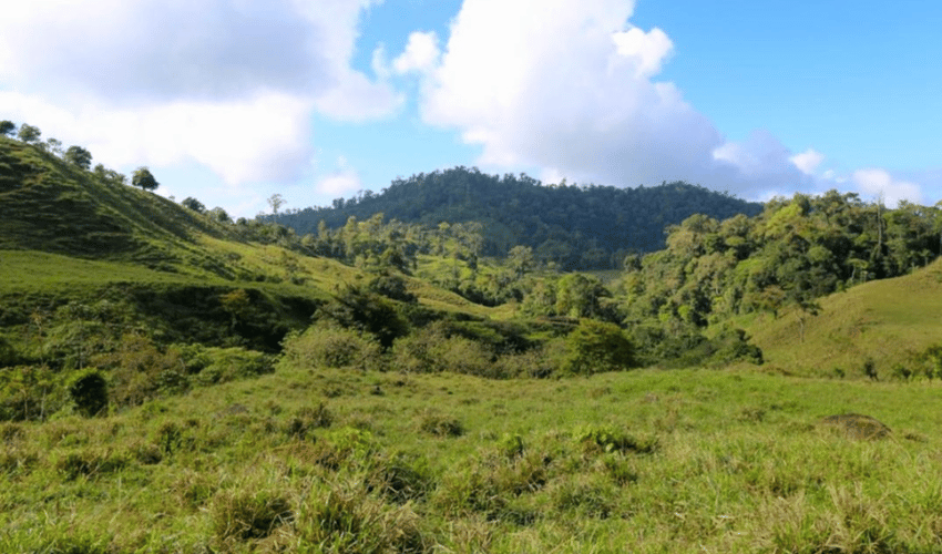 Uvita, Osa, 60504, ,Land,For Sale,Uvita,1074