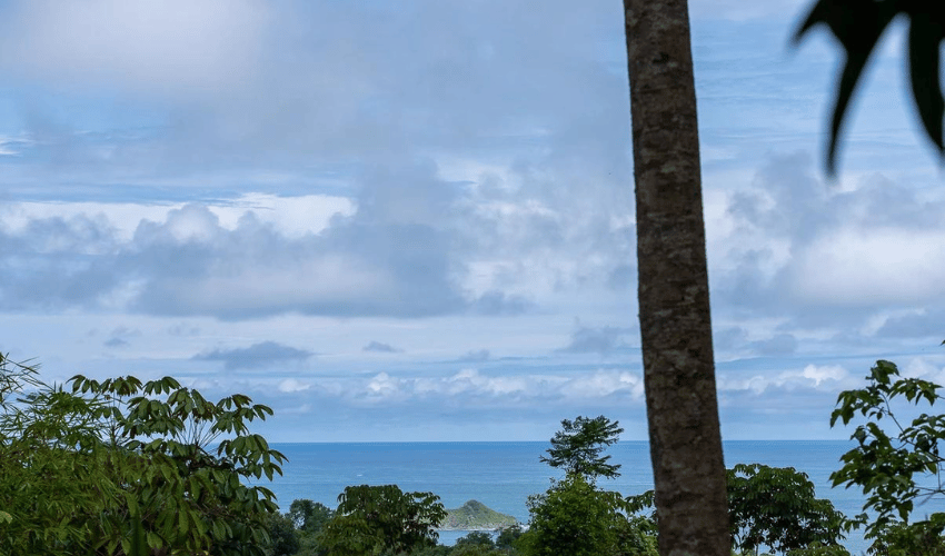 Uvita, Osa, 60504, ,Land,For Sale,Uvita,1075