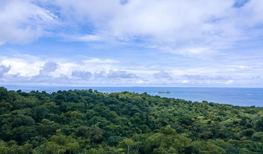 Uvita, Osa, 60504, ,Land,For Sale,Uvita,1075